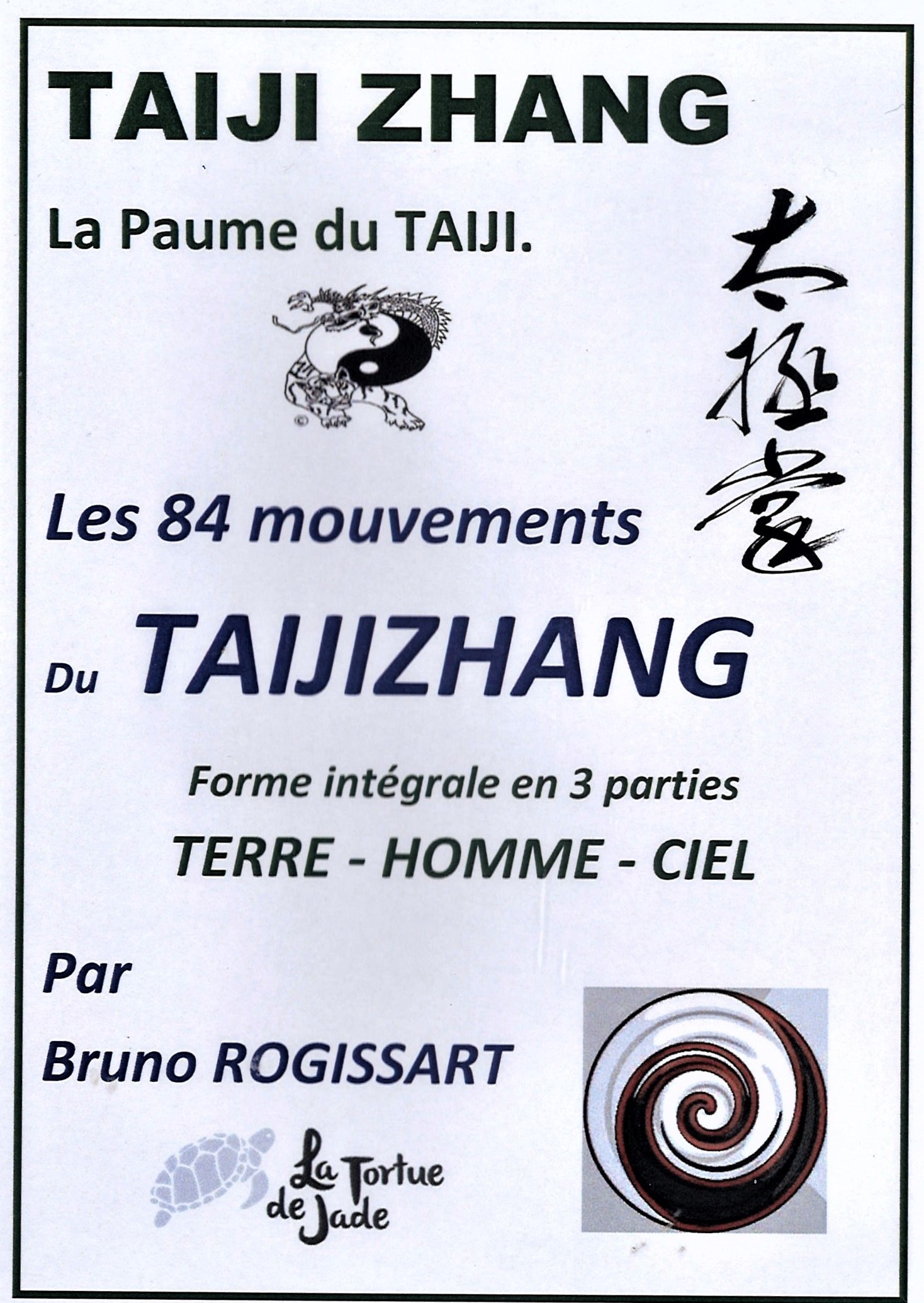 DVD d'apprentissage de la méthode du TAIJIZHANG 'la paume du TAIJI'