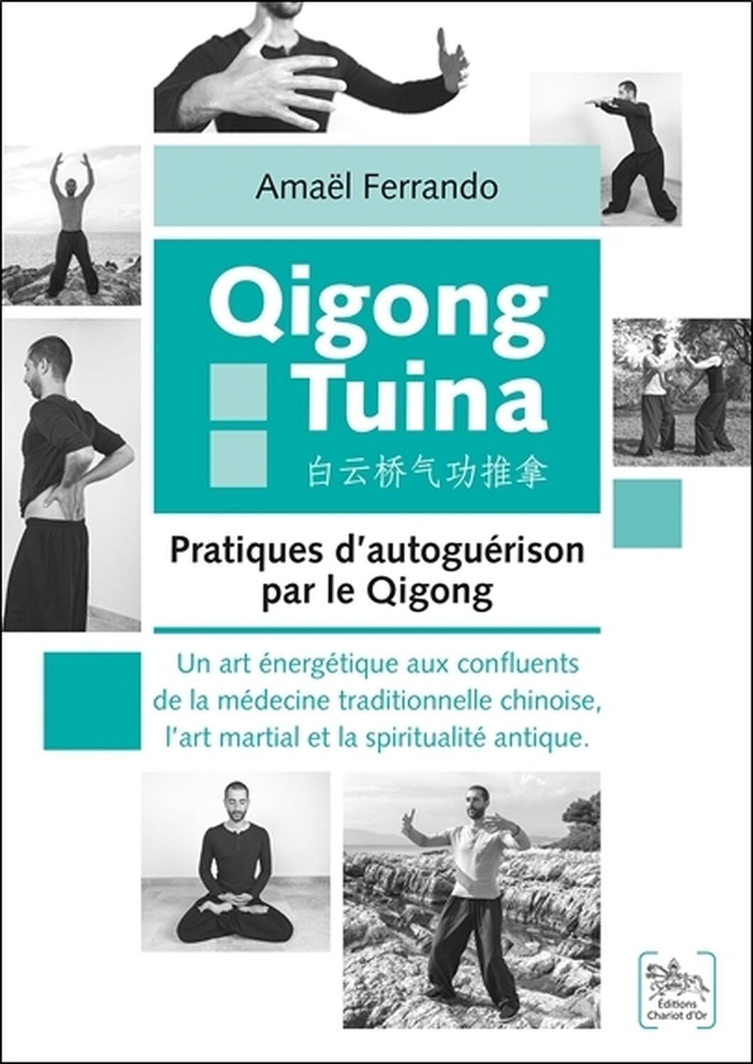 Qigong Tuina Tome 2 - Pratiques d'autoguérison par le Qigong