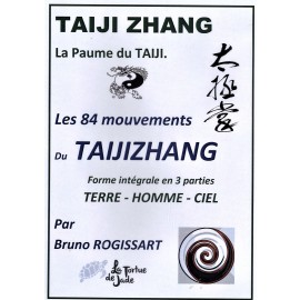 DVD d'apprentissage de la méthode du TAIJIZHANG 'la paume du TAIJI'